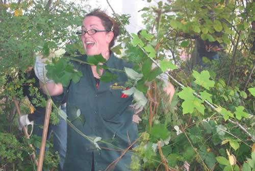 happily gardening