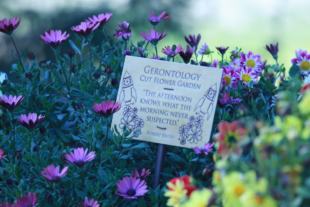 Flower garden sign