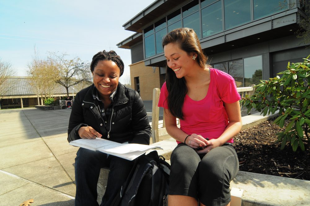 Students studying outside