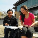 Students studying outside
