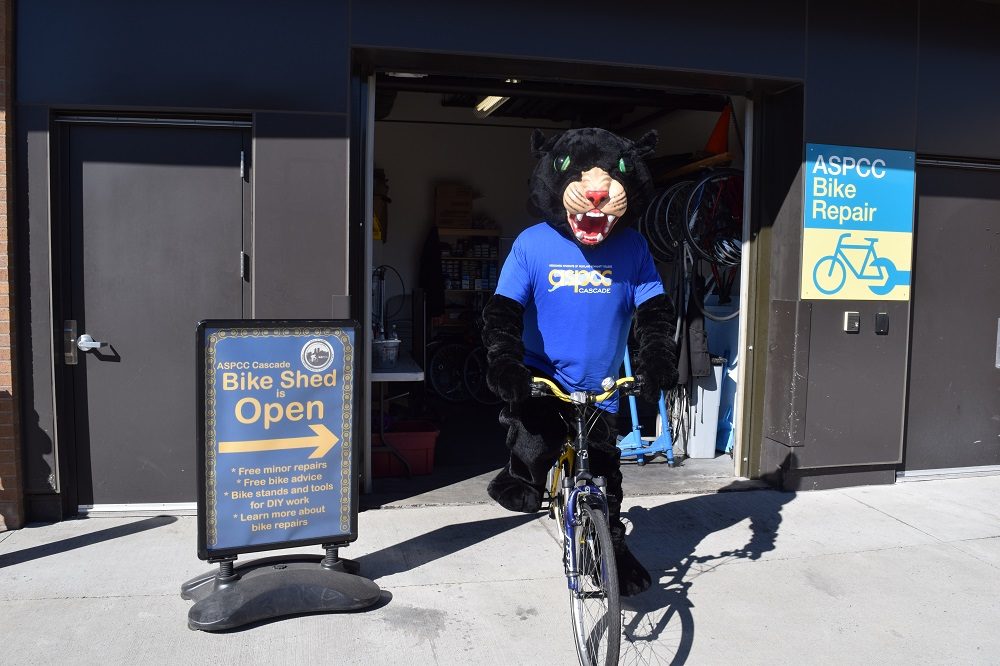 Poppie at Bike Shed