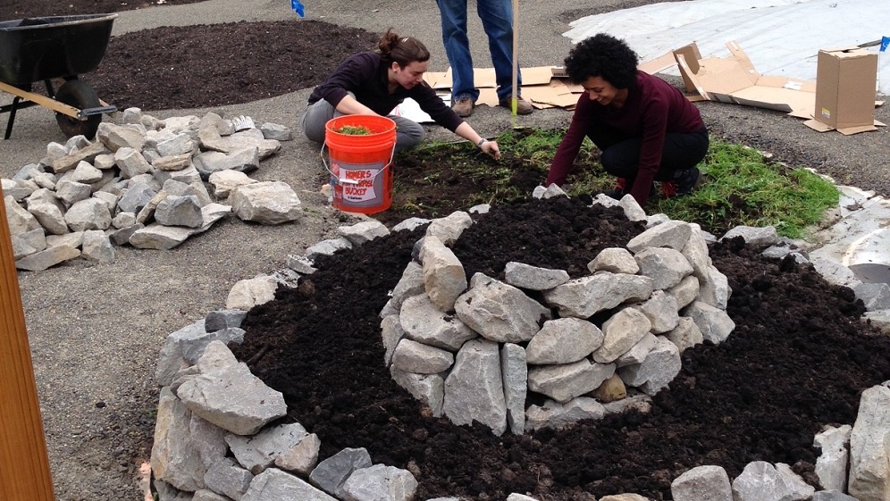 People building garden beds