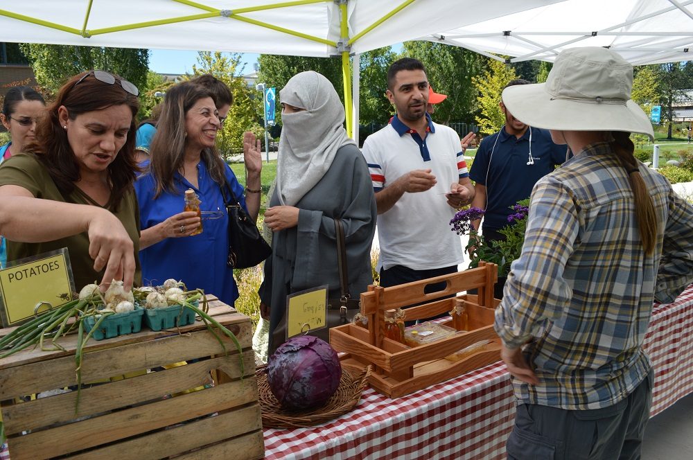 People shopping at farm stand