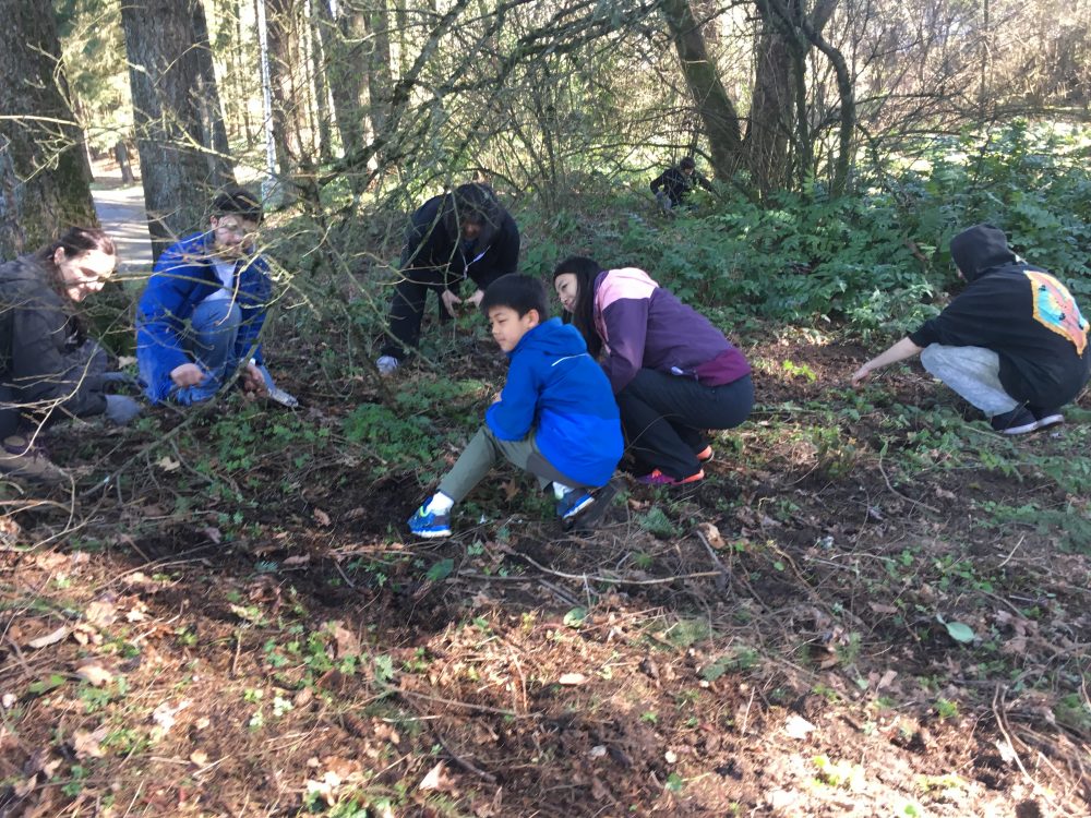 Getting the invasive out!