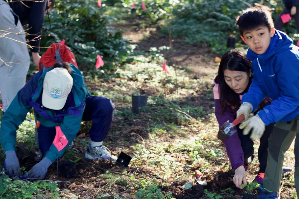 Getting into the soil is good for you