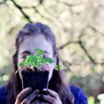 (One of the nearly 300 native plants ready to be a part of this land)