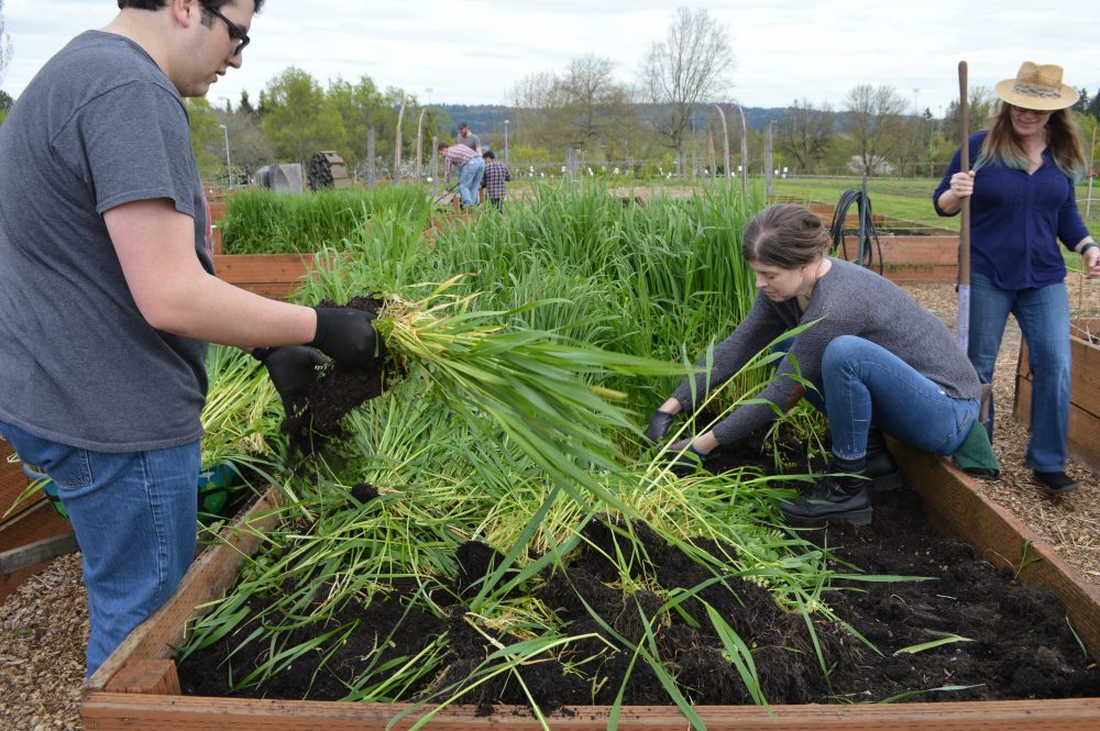 PCC Learning Garden Earth Week Work Party 4.20.18