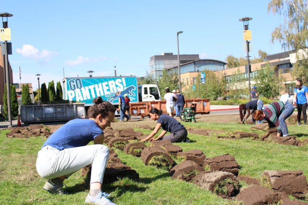 Rolling up the sod and getting ready for a big ol' garden!