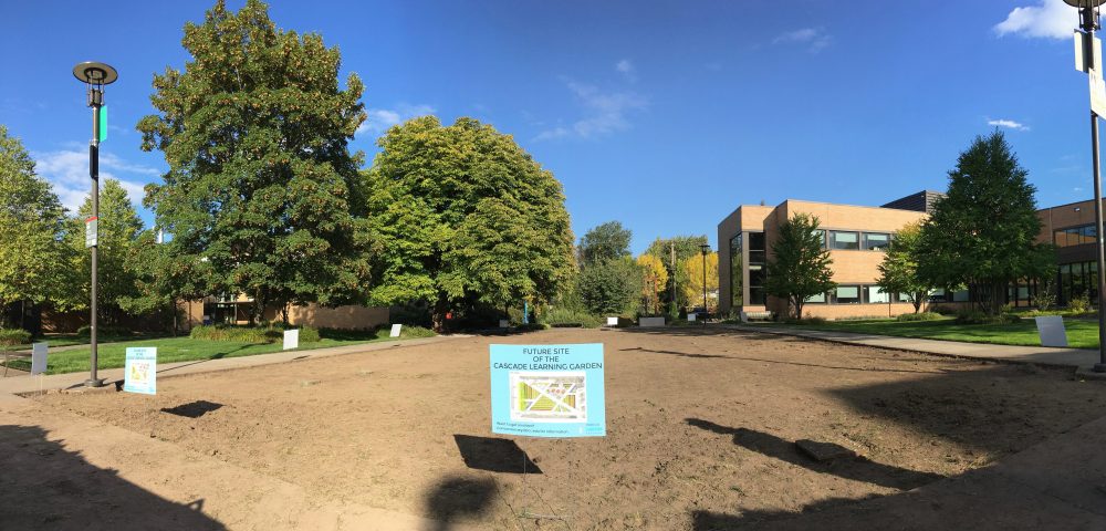 A blank canvas. A learning garden awaits!