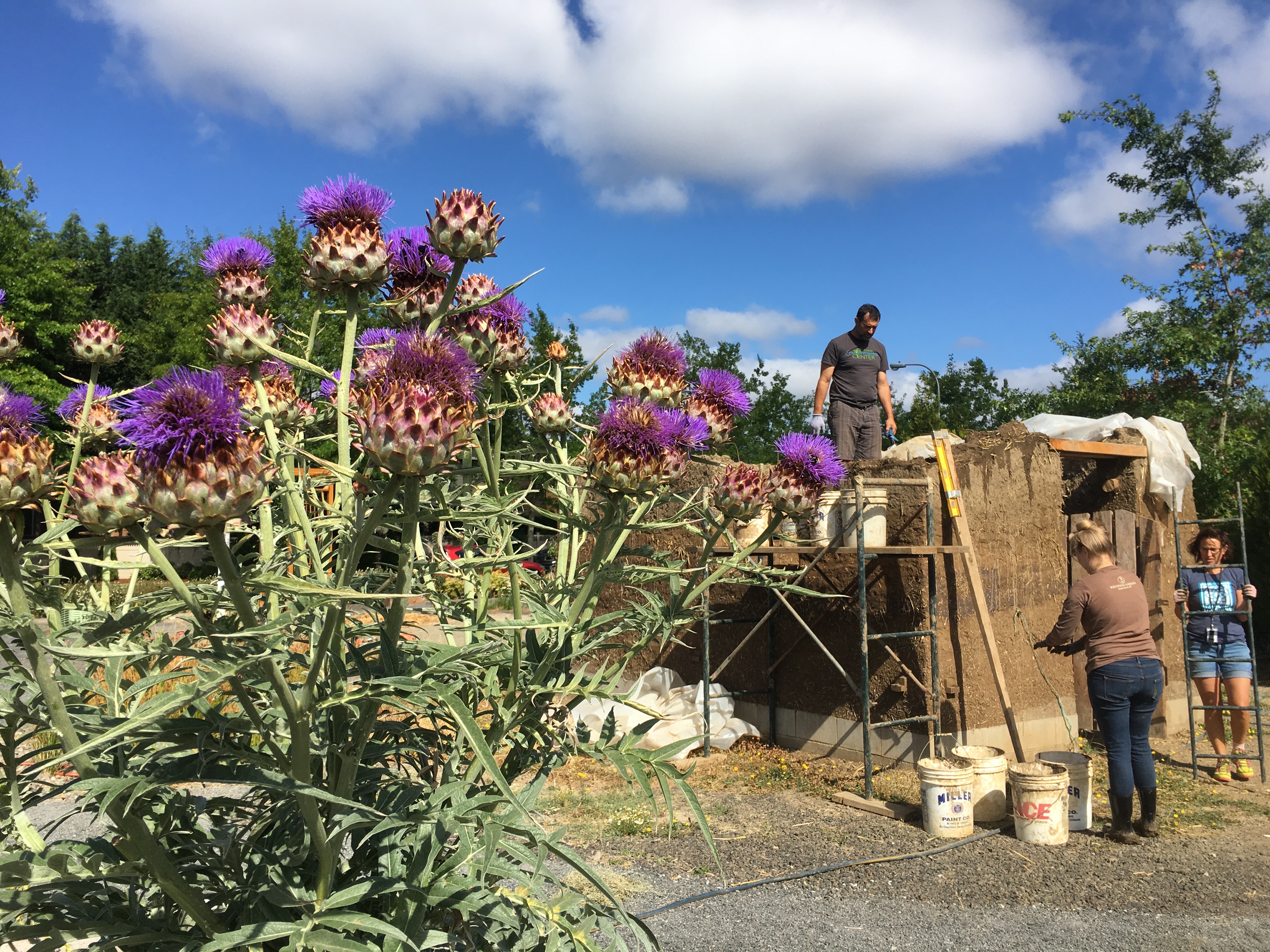 Cob shed being built at Newberg Learning Garden