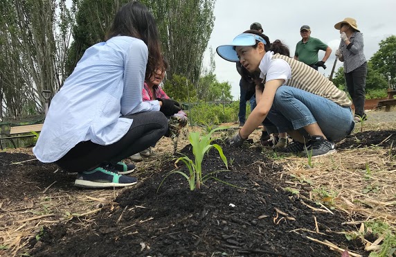 Rock Creek LG and ESOL
