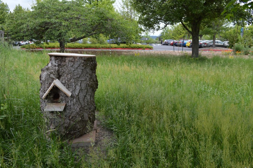 Wooden beehive, in a field near Rock Creek campus.