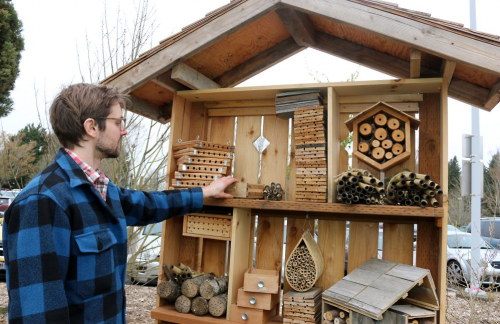 Man stands near many artistically created beehives.