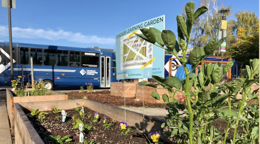 Community Learning Garden