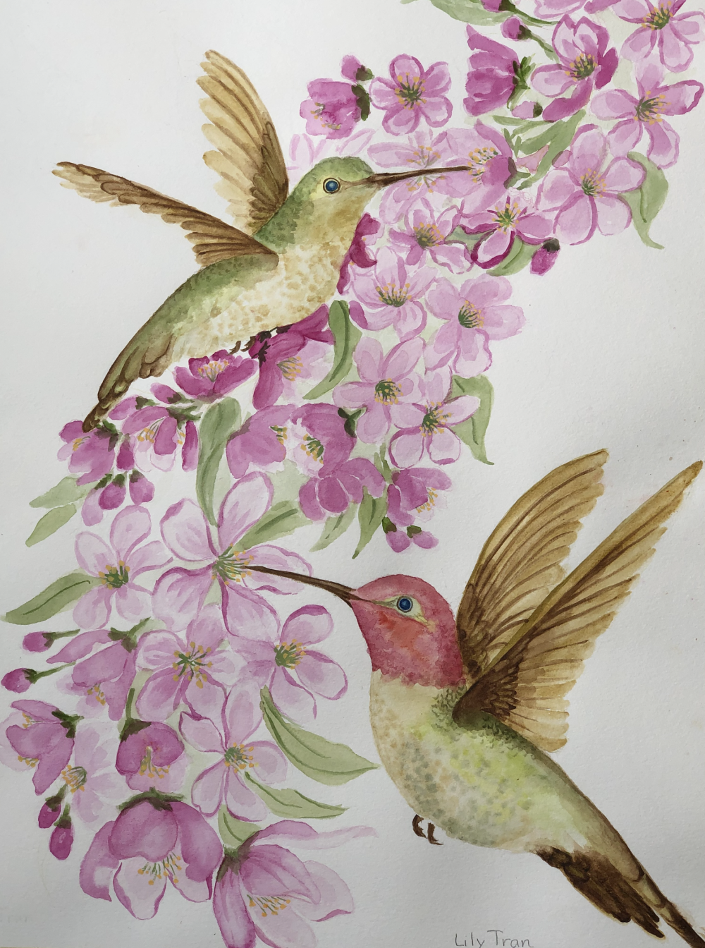 11. Lily Tran, “Happy Hummingbird," 2022, Watercolor on paper