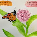 13. Patti Louie, “Got Milkweed?,” 2022, Watercolor on paper