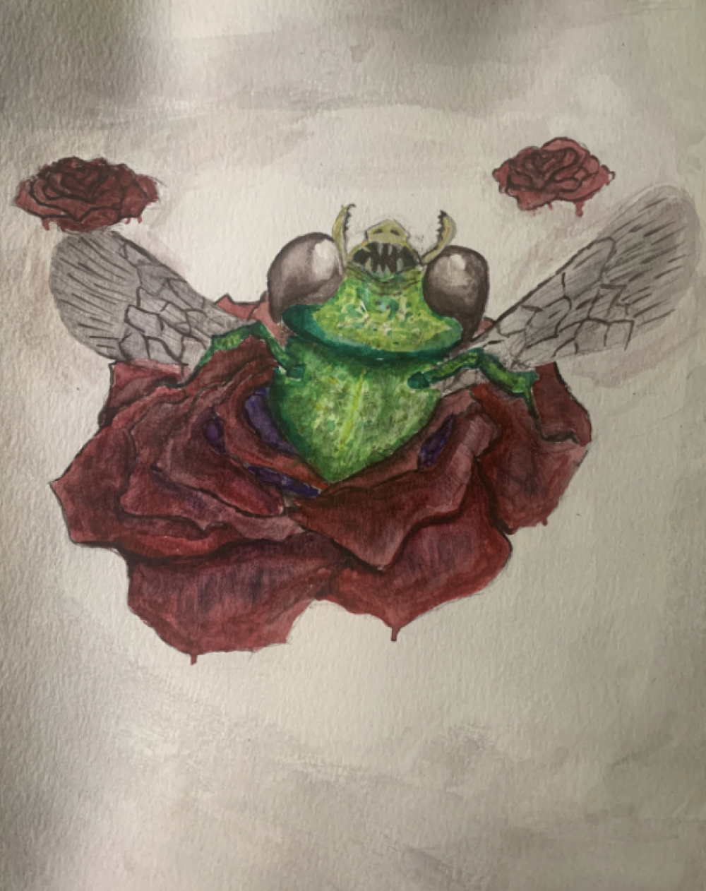 17. Tyler Tran, “Undead Sweat Bee,” 2022, Watercolor on paper