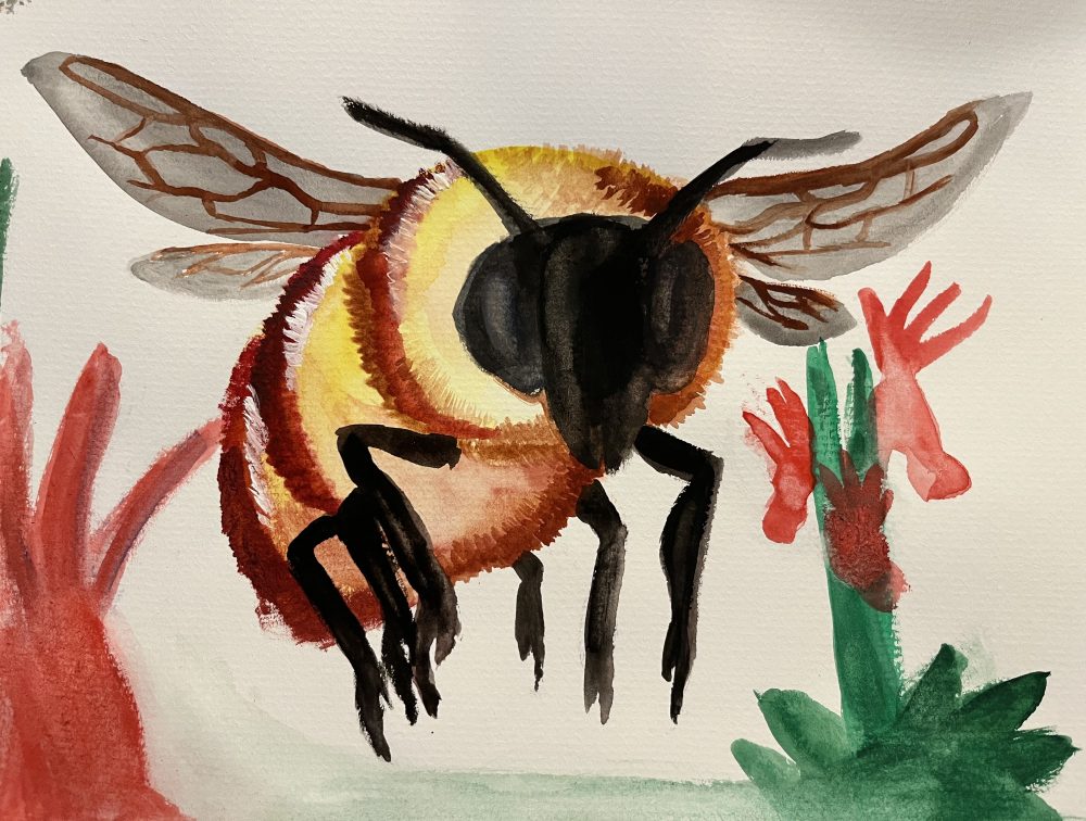 21. Aaron Chapman, “Bumblebee and Calypso Bulbosa, Fairy Slipper Flower,” 2022, Watercolor on paper