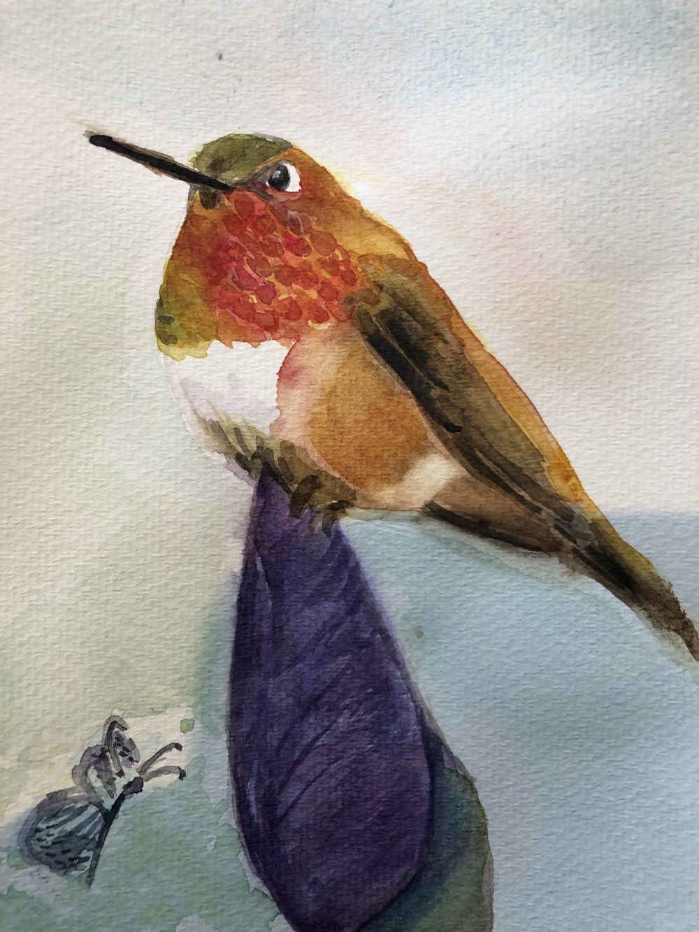 7. Jennifer Falk, “Rufous Hummingbird, Male," 2022, Watercolor on paper