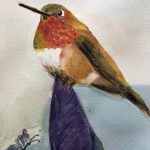 7. Jennifer Falk, “Rufous Hummingbird, Male," 2022, Watercolor on paper