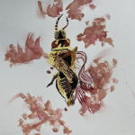 8. Liz Farell, “Thrips Setosus, Japanese Flower Thrips," 2022, Watercolor on paper