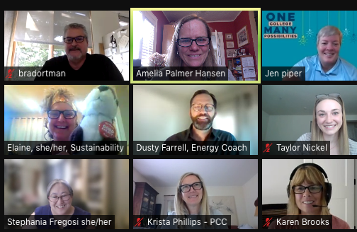 Screenshot from a SEM Leadership Team virtual meeting