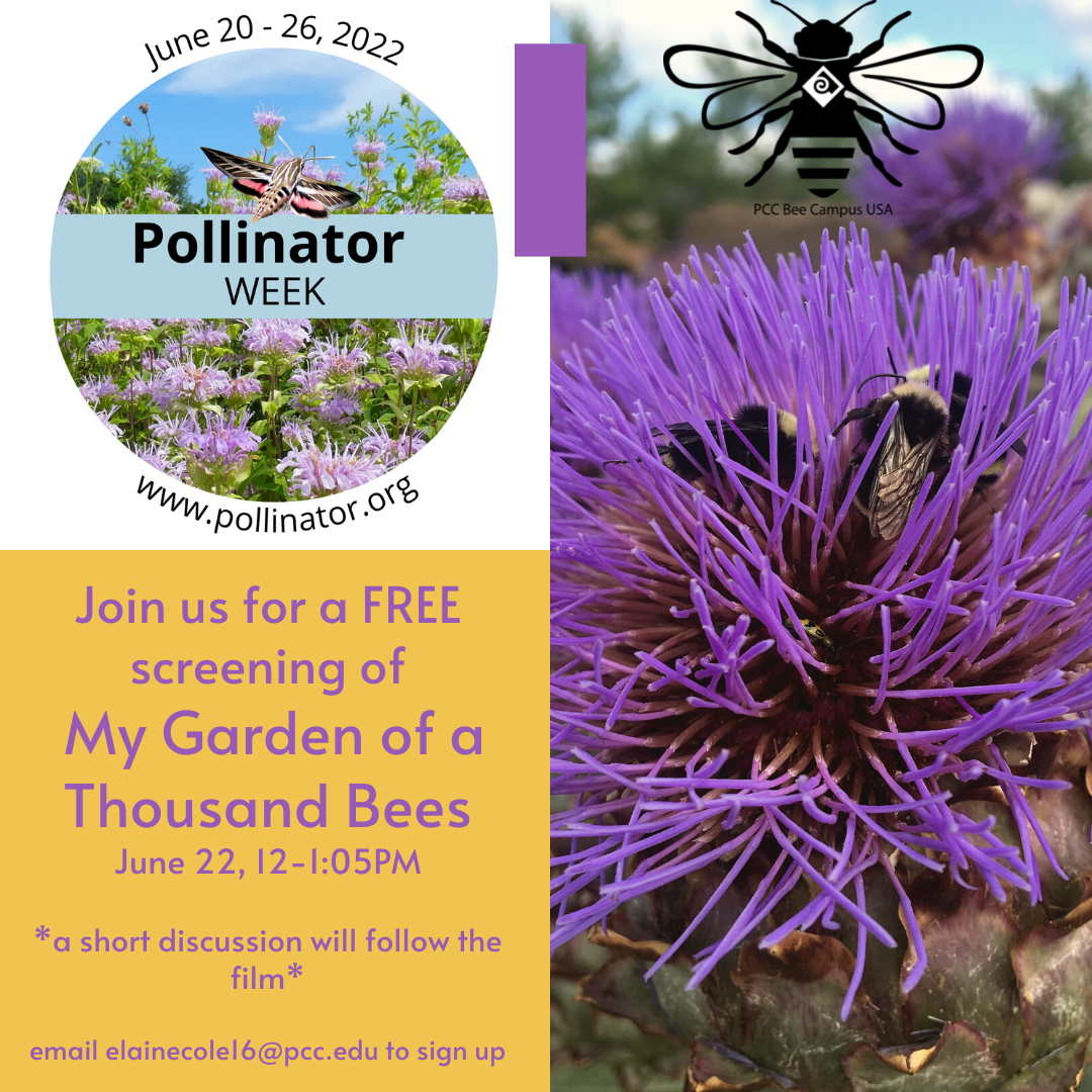 Free Screening of "My Garden of a Thousand Bees"