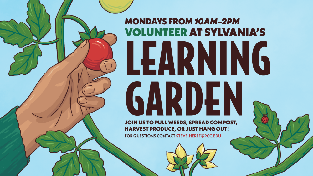 Learning garden volunteer hours, 10am-2pm Mondays at Sylvania