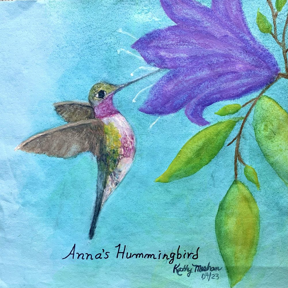 A watercolor of an Anna's Hummingbird