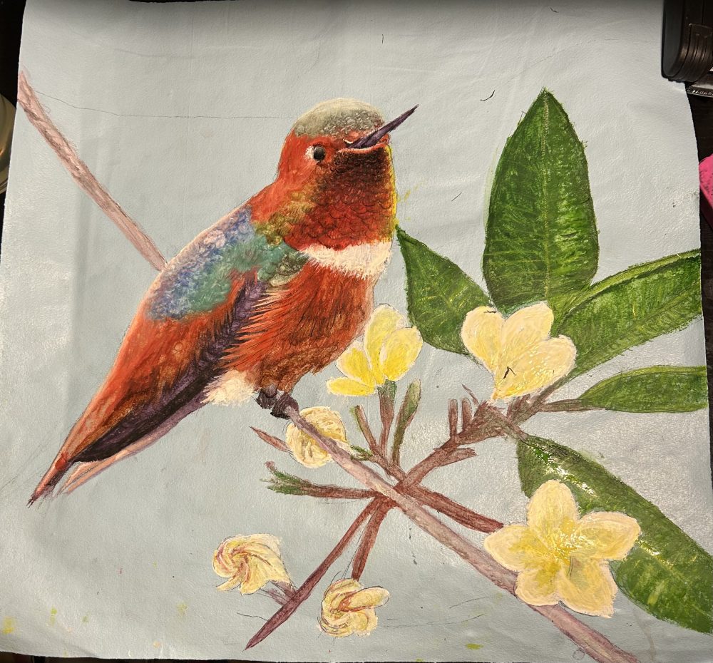 A watercolor image of a hummingbird.