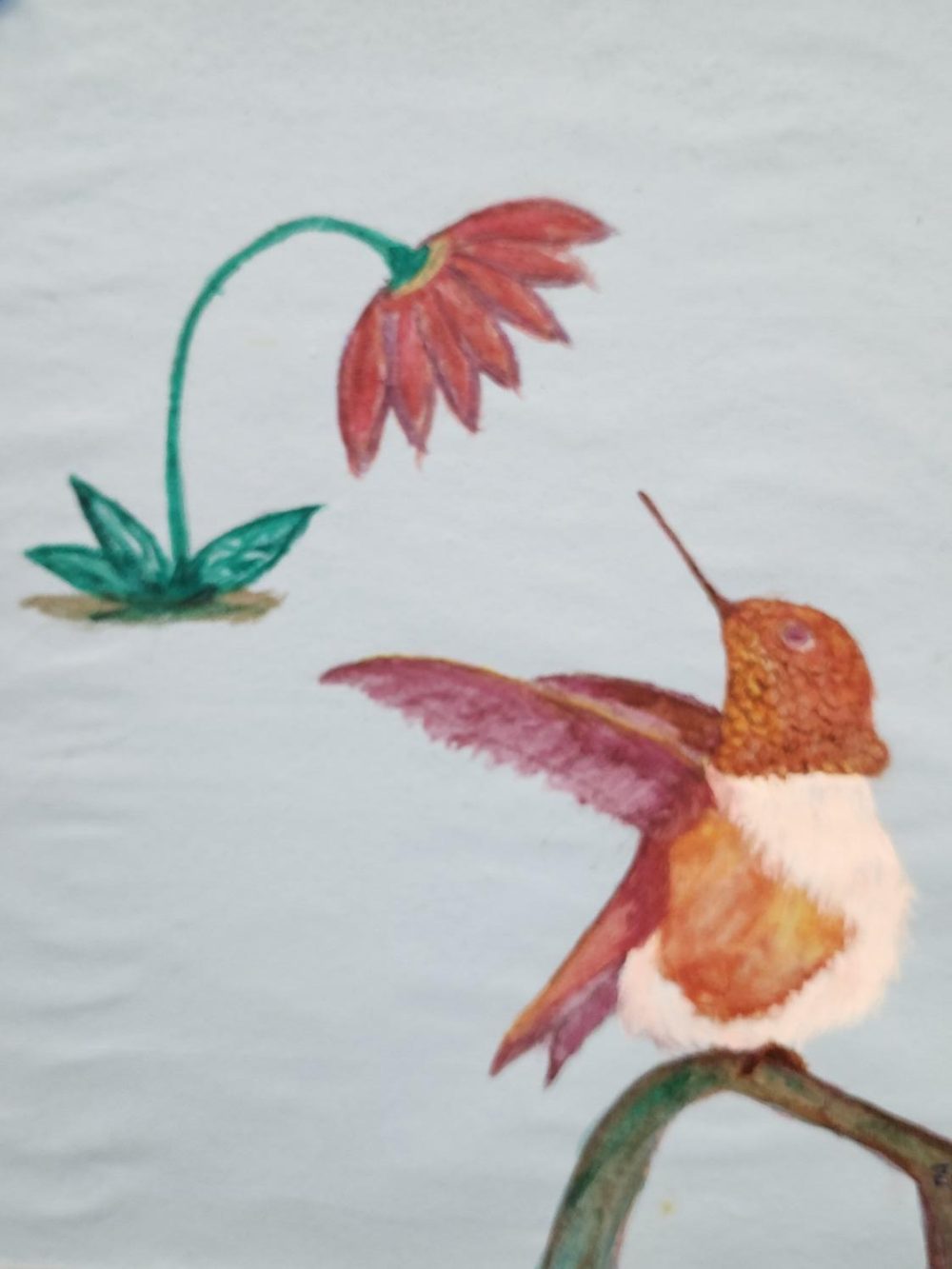 A watercolor image of a hummingbird.