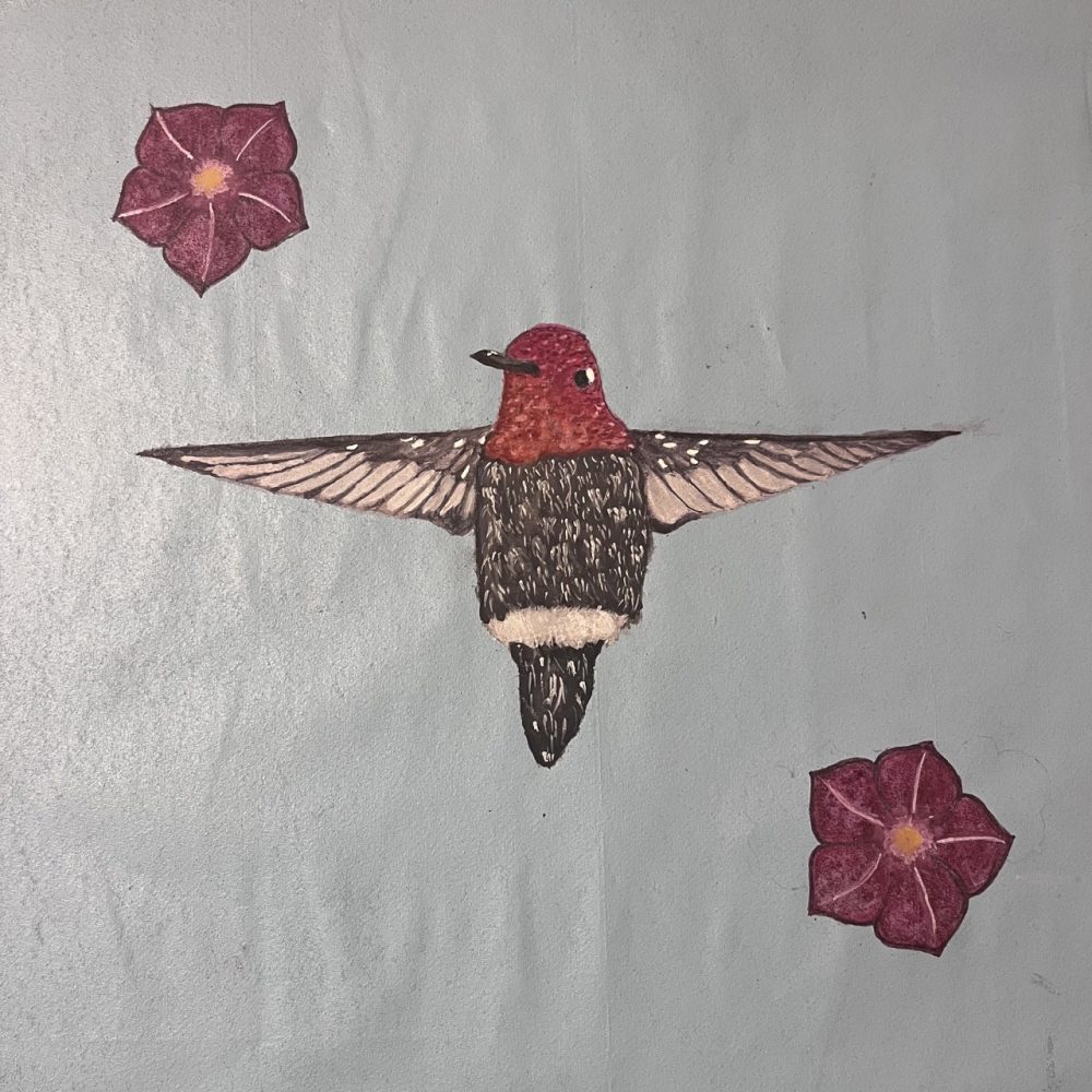 A watercolor image of an Anna's Hummingbird.