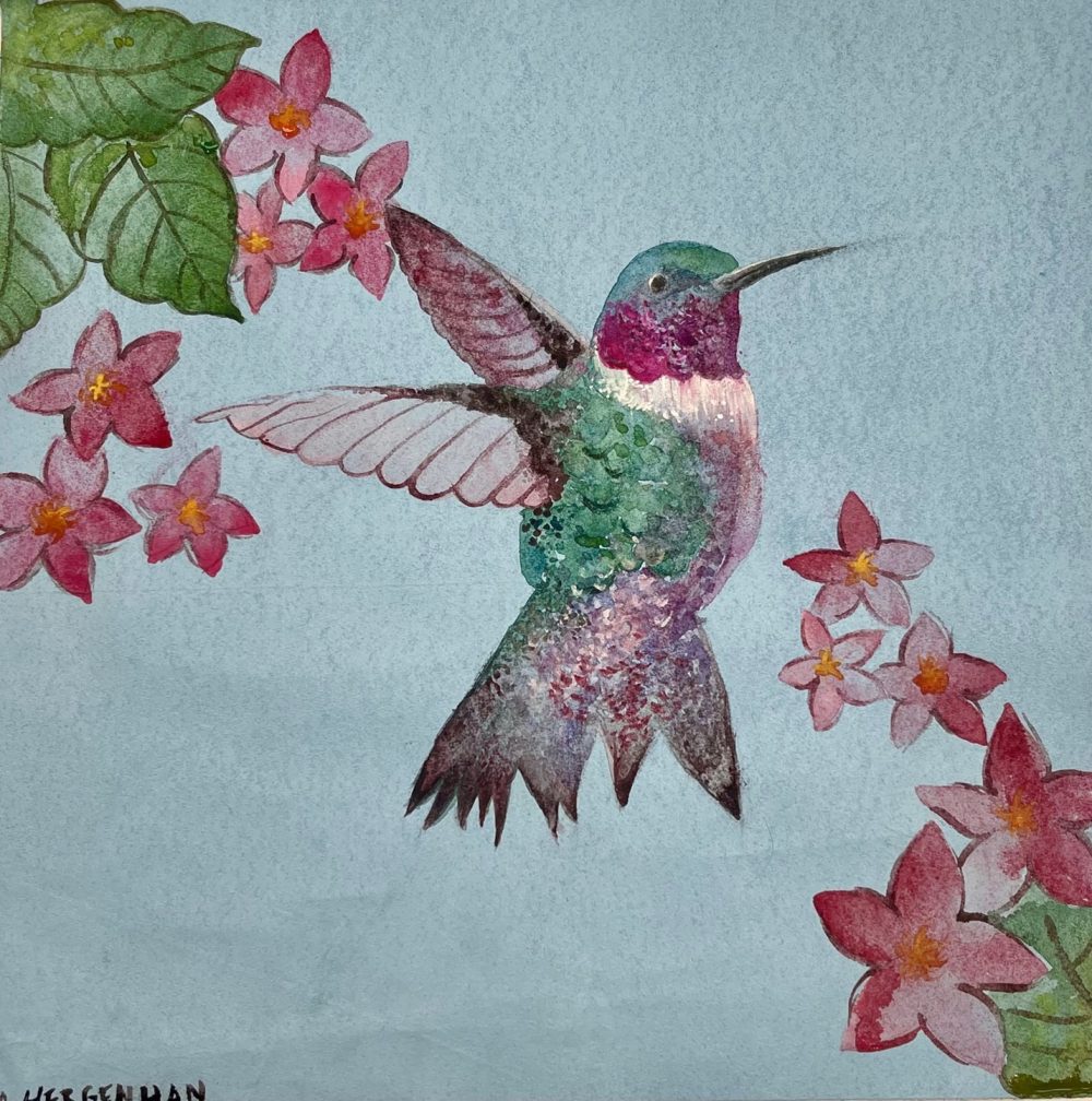 An water color image of an Anna's Hummingbird amongst flowers.