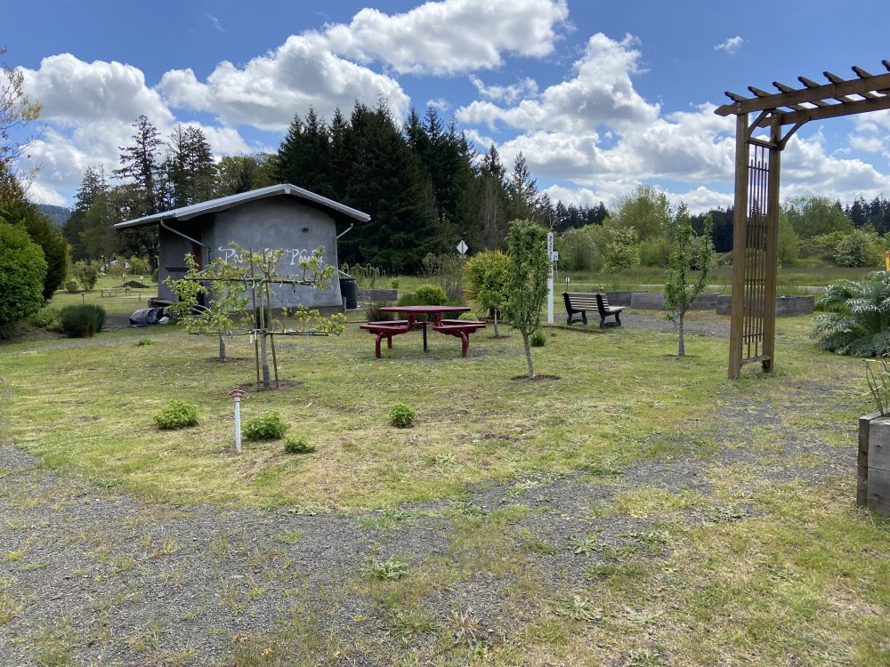 Newberg Center Garden