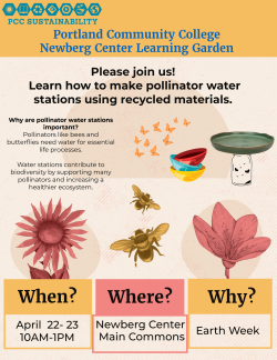 Pollinator watering station making event