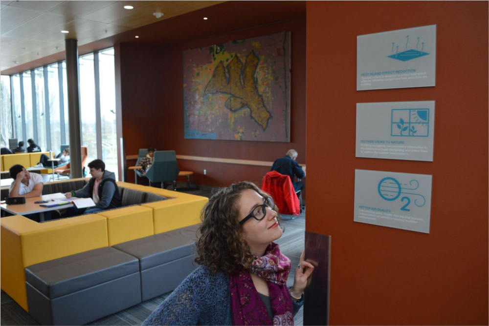 Woman looking at wall plaques in building interior
