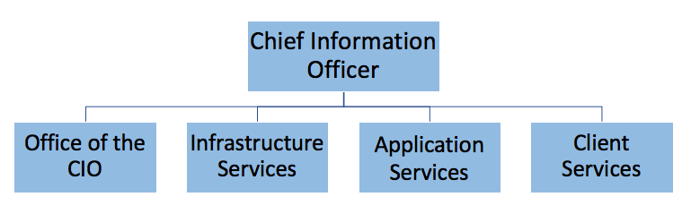 IT organization structure diagram