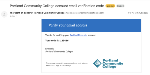 verification code example email screenshot