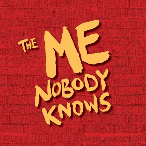 The Me Nobody Knows poster