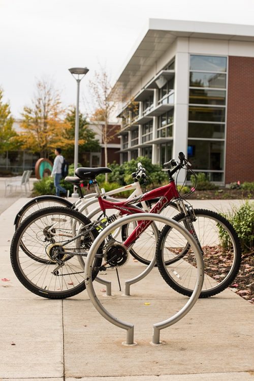 Bike racks on campus