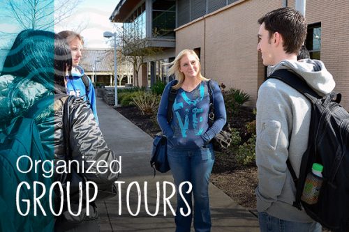 Organized group tours