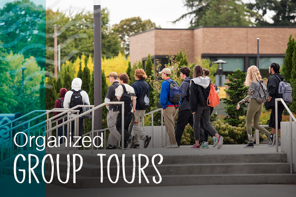 Organized group tours