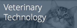 Veterinary Technology with a photo of a cat - phone screen size