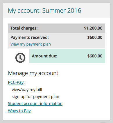 My account channel - payment plan