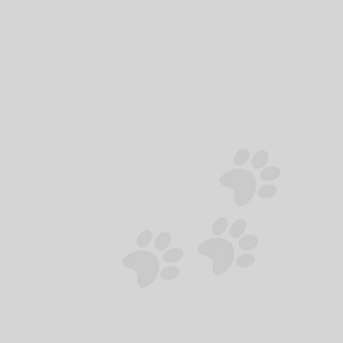 Pawprint background pattern