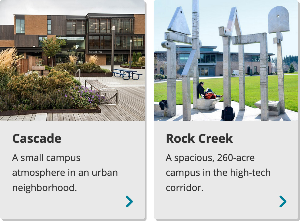 Callout gallery navigation option