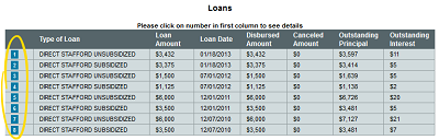 Loans screenshot