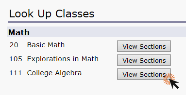 Screenshot of look up classes page clicking view sections button
