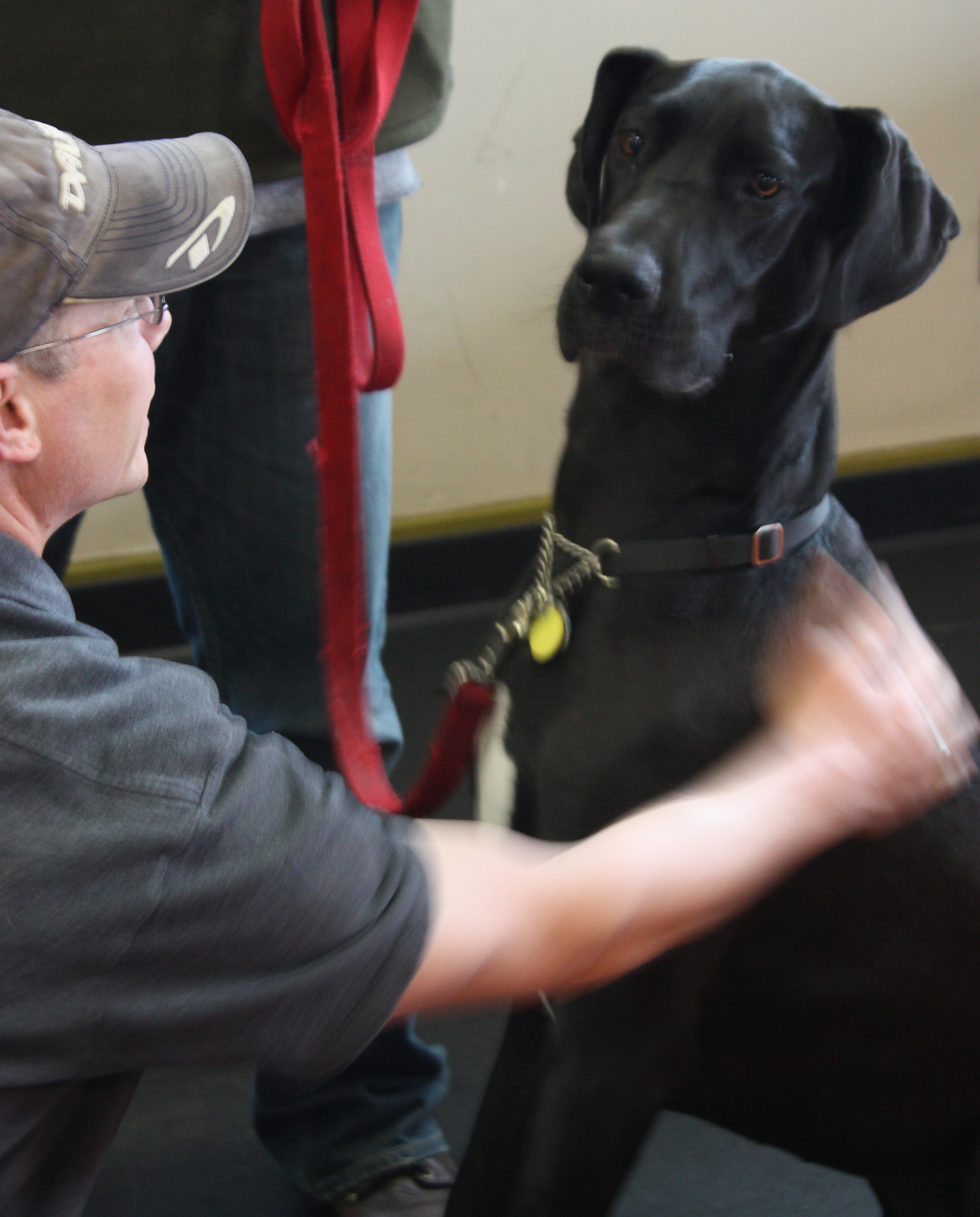 Community Ed gets trendy News at PCC