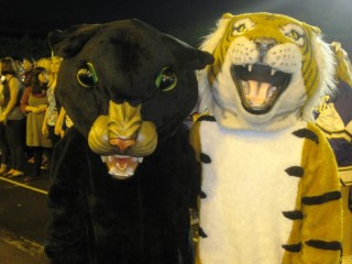 IMG_2294, compressed